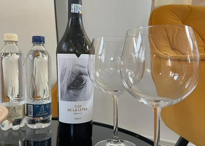 Warm'n Cozy, Modern Baneasa 아파트 *